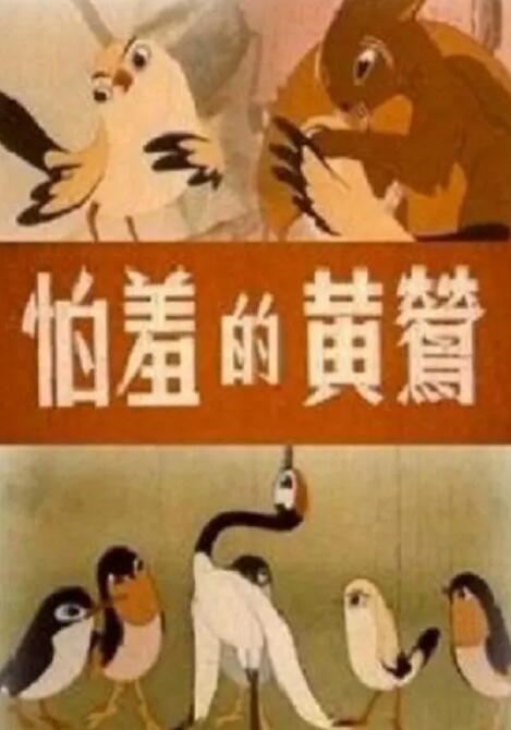 www深夜视频在线观看高清